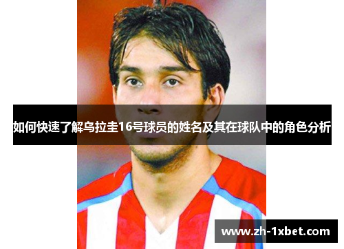 如何快速了解乌拉圭16号球员的姓名及其在球队中的角色分析