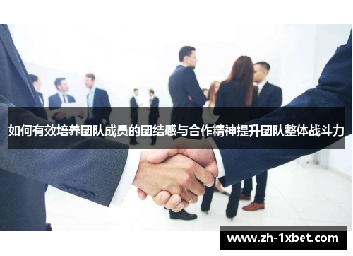 如何有效培养团队成员的团结感与合作精神提升团队整体战斗力