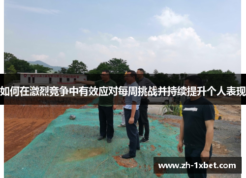 如何在激烈竞争中有效应对每周挑战并持续提升个人表现