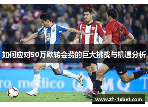 如何应对50万欧转会费的巨大挑战与机遇分析